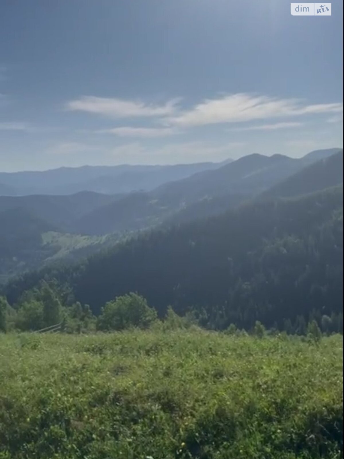 Земельна ділянка сільськогосподарського призначення в Криворівні, площа 200 соток фото 1