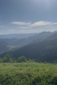 Земельный участок сельскохозяйственного назначения в Криворовне, площадь 115 соток фото 2