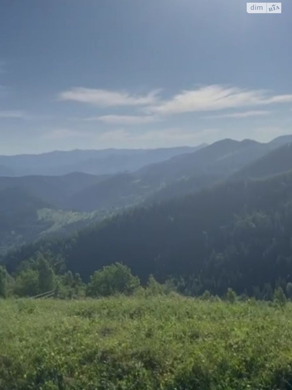 Земельный участок сельскохозяйственного назначения в Криворовне, площадь 115 соток фото 1