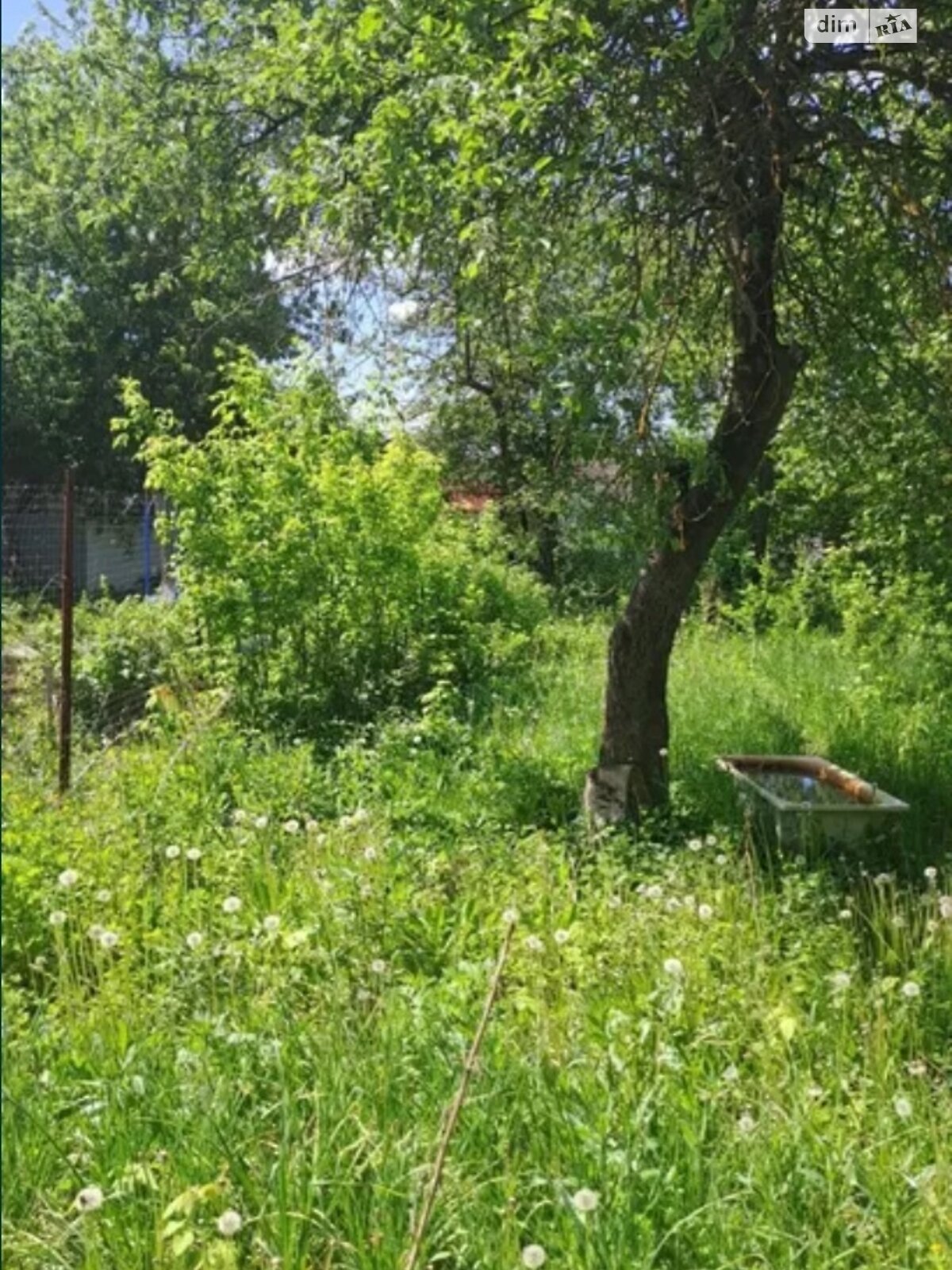 Земля сельскохозяйственного назначения в Кривом Роге, район Покровский, площадь 4 сотки фото 1