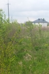 Земельна ділянка сільськогосподарського призначення в Кротошиній, площа 66 соток фото 2