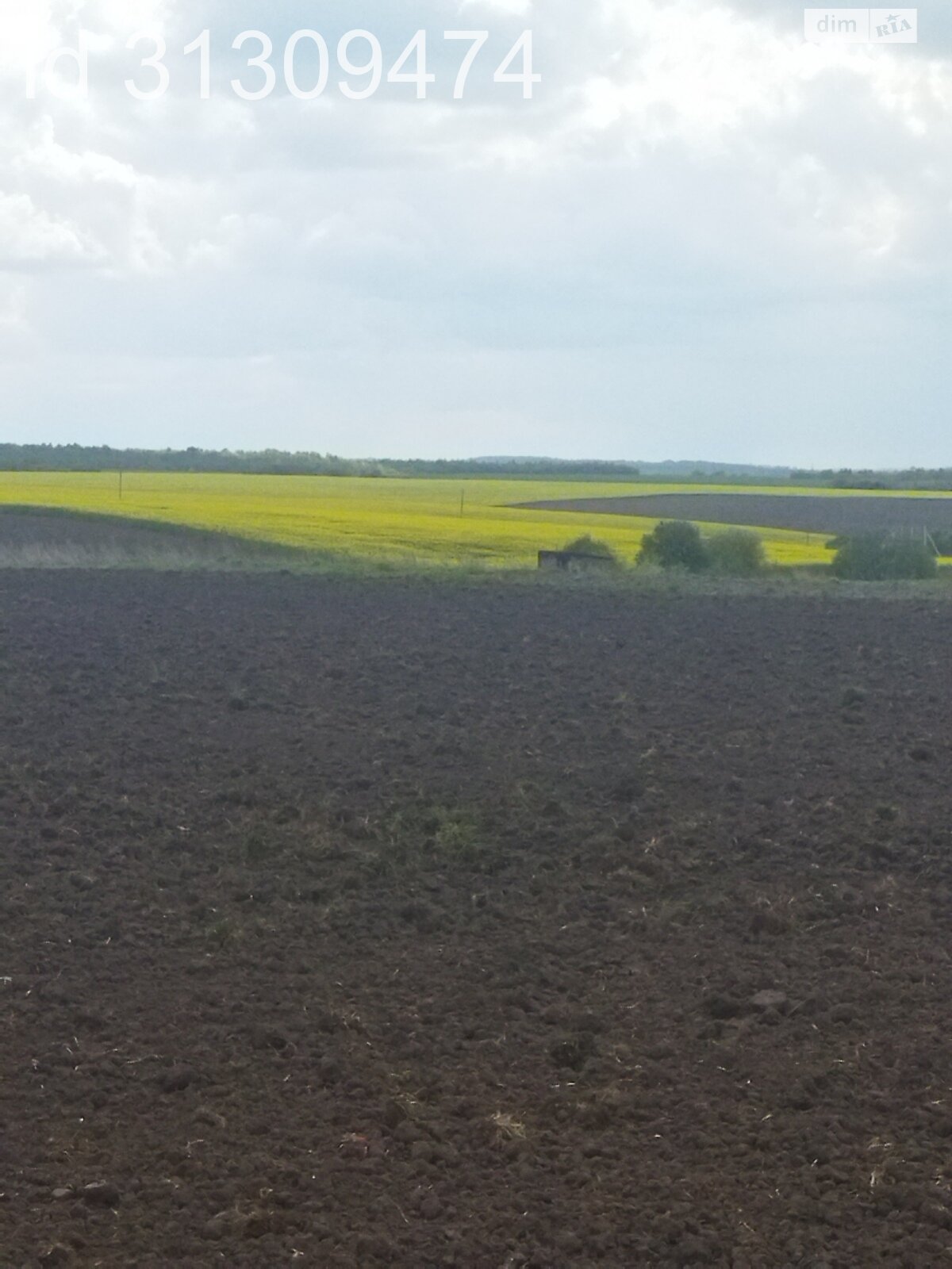 Земельна ділянка сільськогосподарського призначення в Кротошиній, площа 66 соток фото 1 Земельна ділянка сільськогосподарського призначення в Кротошиній, площа 66 соток фото 1