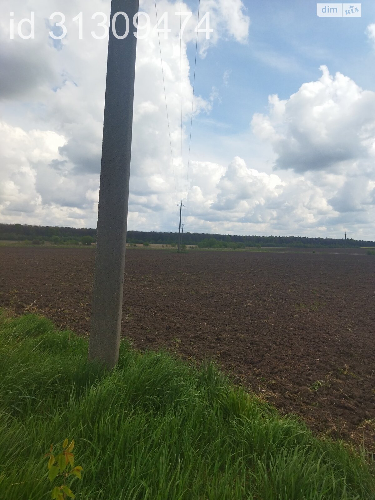 Земельна ділянка сільськогосподарського призначення в Кротошиній, площа 66 соток фото 1 Земельна ділянка сільськогосподарського призначення в Кротошиній, площа 66 соток фото 1
