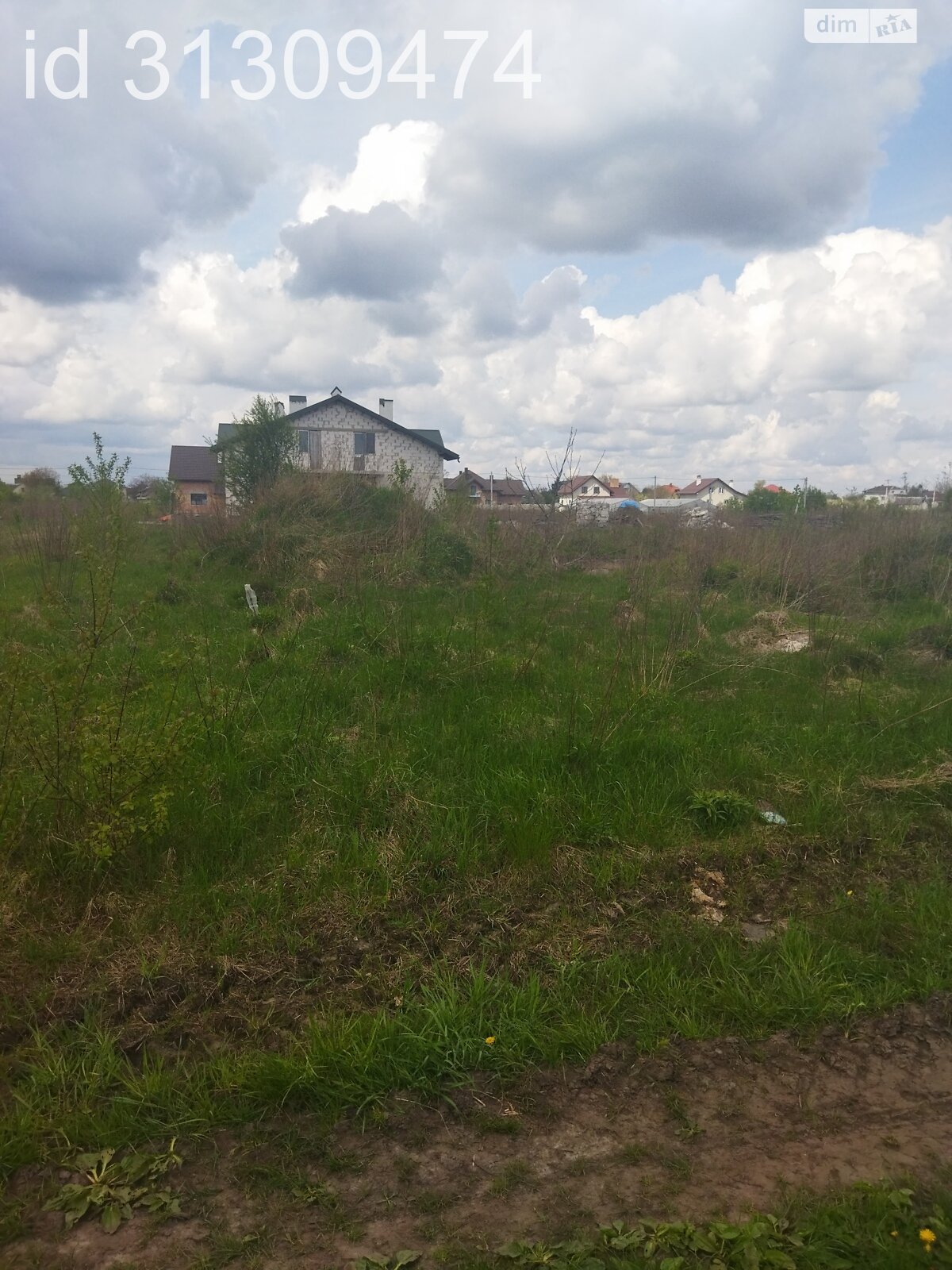 Земельна ділянка сільськогосподарського призначення в Кротошиній, площа 66 соток фото 1 Земельна ділянка сільськогосподарського призначення в Кротошиній, площа 66 соток фото 1