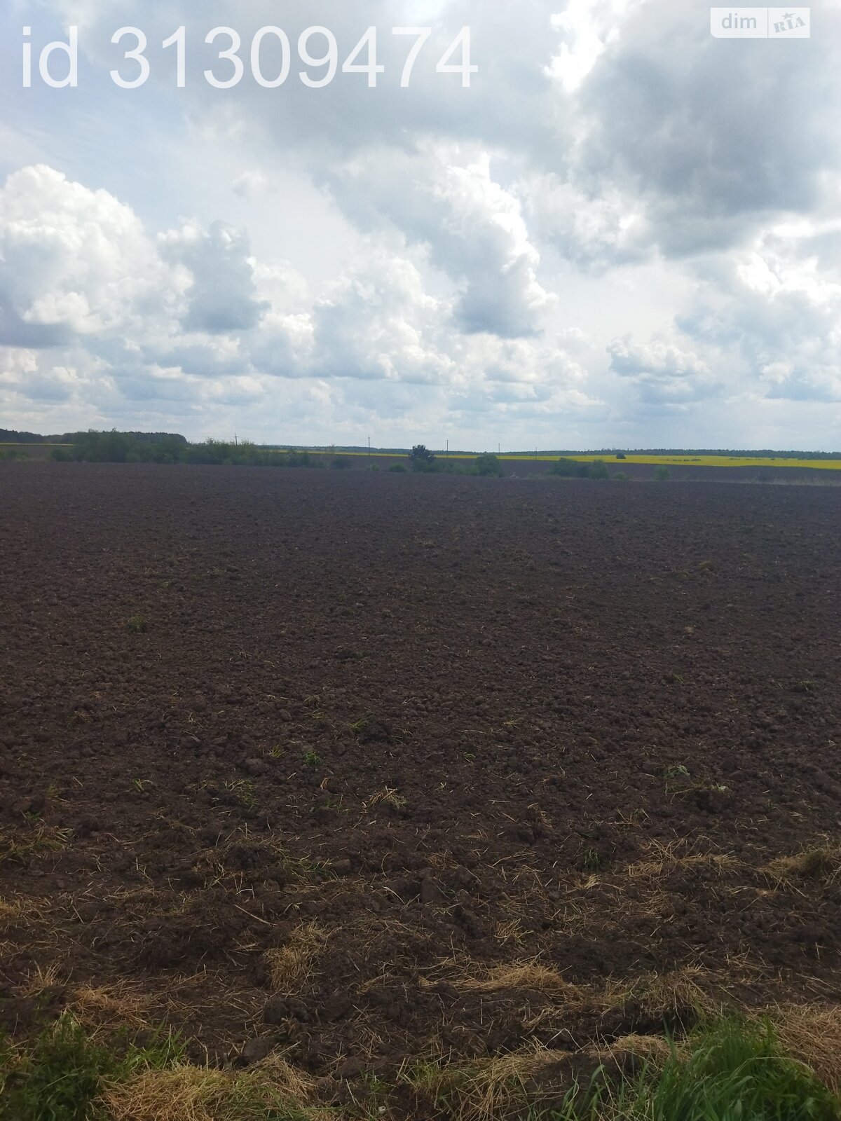 Земельна ділянка сільськогосподарського призначення в Кротошиній, площа 66 соток фото 1 Земельна ділянка сільськогосподарського призначення в Кротошиній, площа 66 соток фото 1