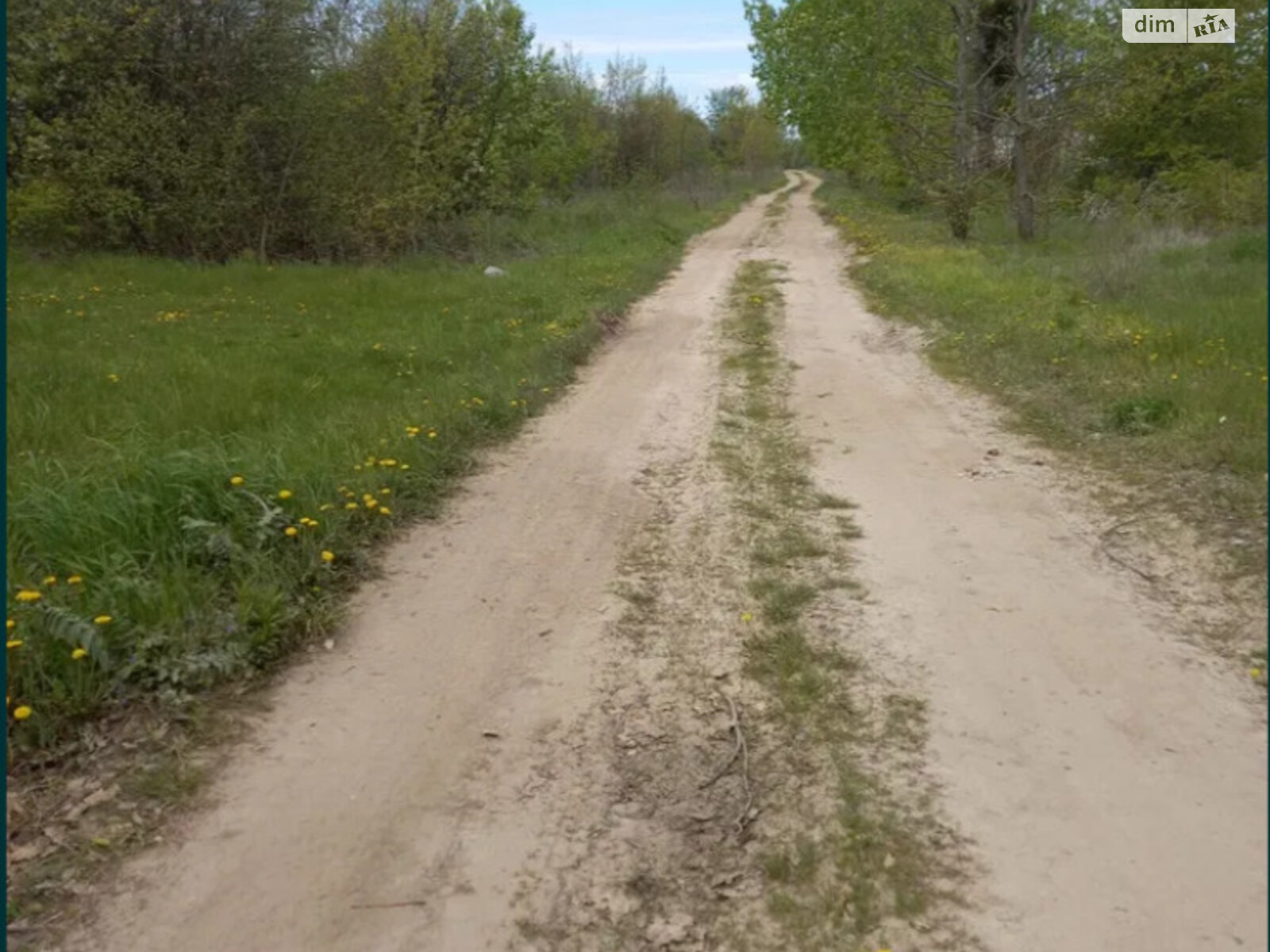 Земельна ділянка сільськогосподарського призначення в Крушинці, площа 435 соток фото 1