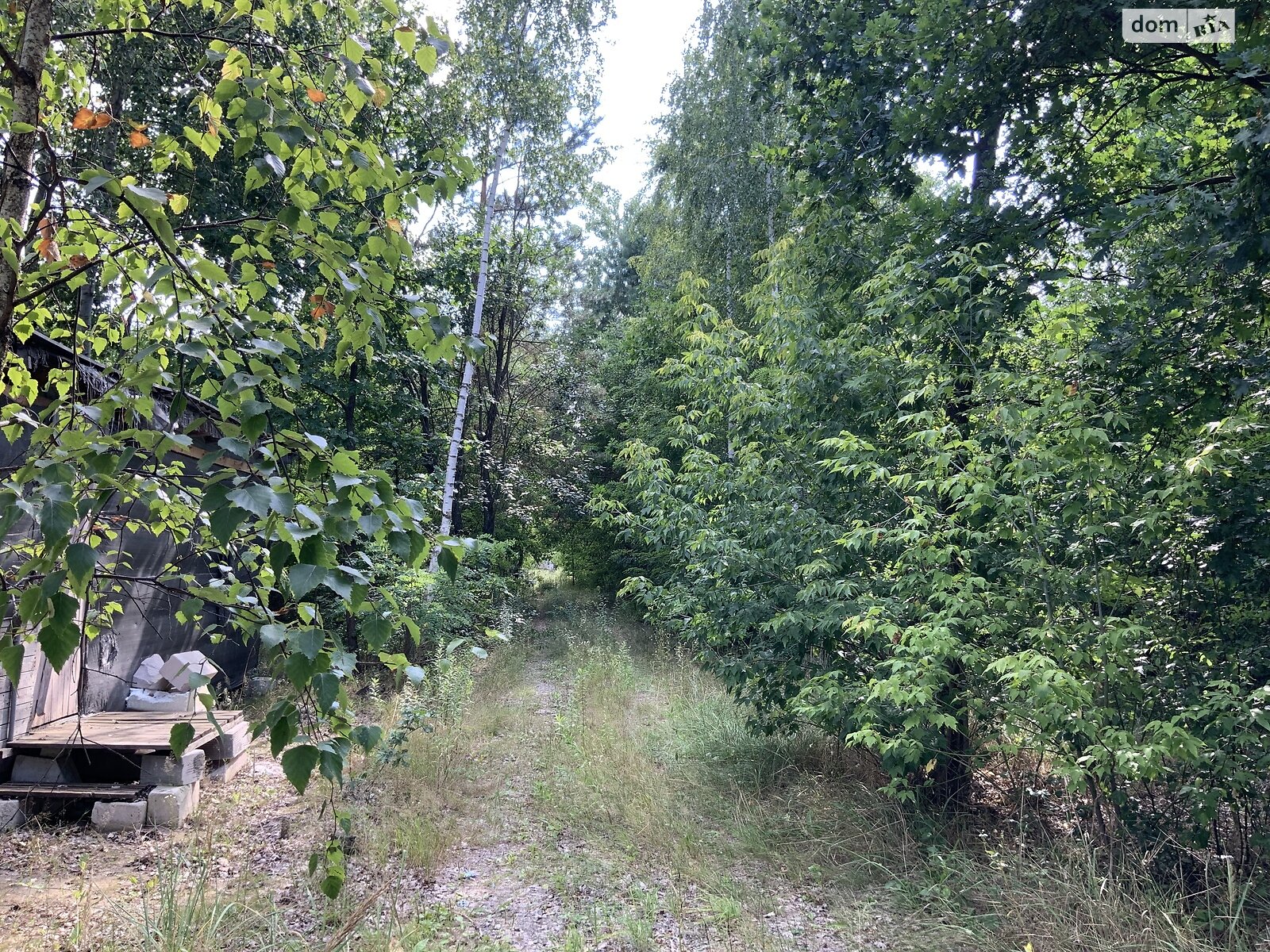 Земельный участок сельскохозяйственного назначения в Деревянками, площадь 3.6 Га фото 1 Земельный участок сельскохозяйственного назначения в Деревянками, площадь 3.6 Га фото 1
