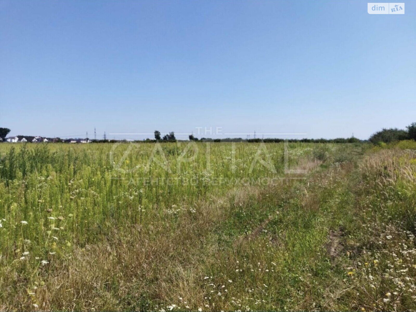Земельный участок сельскохозяйственного назначения в Крюковщине, площадь 141 сотка фото 1