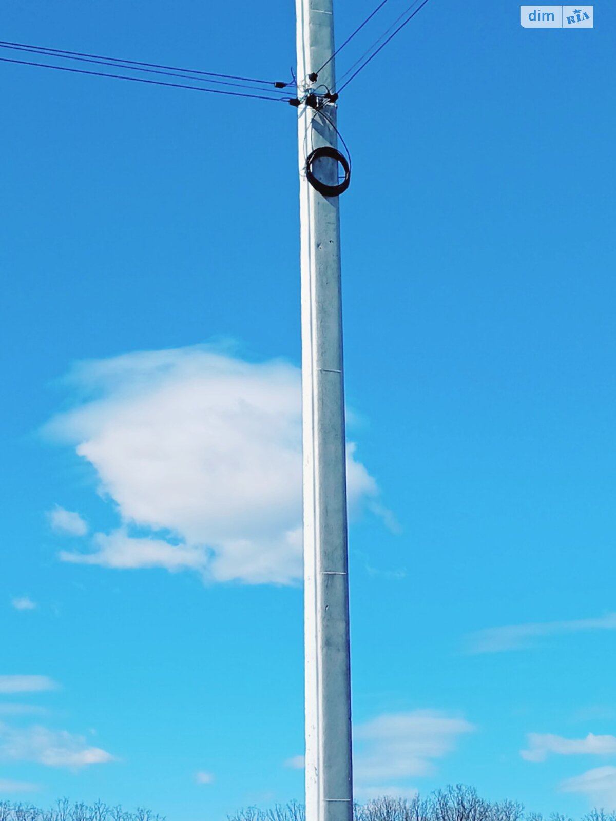 Земельный участок сельскохозяйственного назначения в Крюковщине, площадь 182 сотки фото 1 Земельный участок сельскохозяйственного назначения в Крюковщине, площадь 182 сотки фото 1