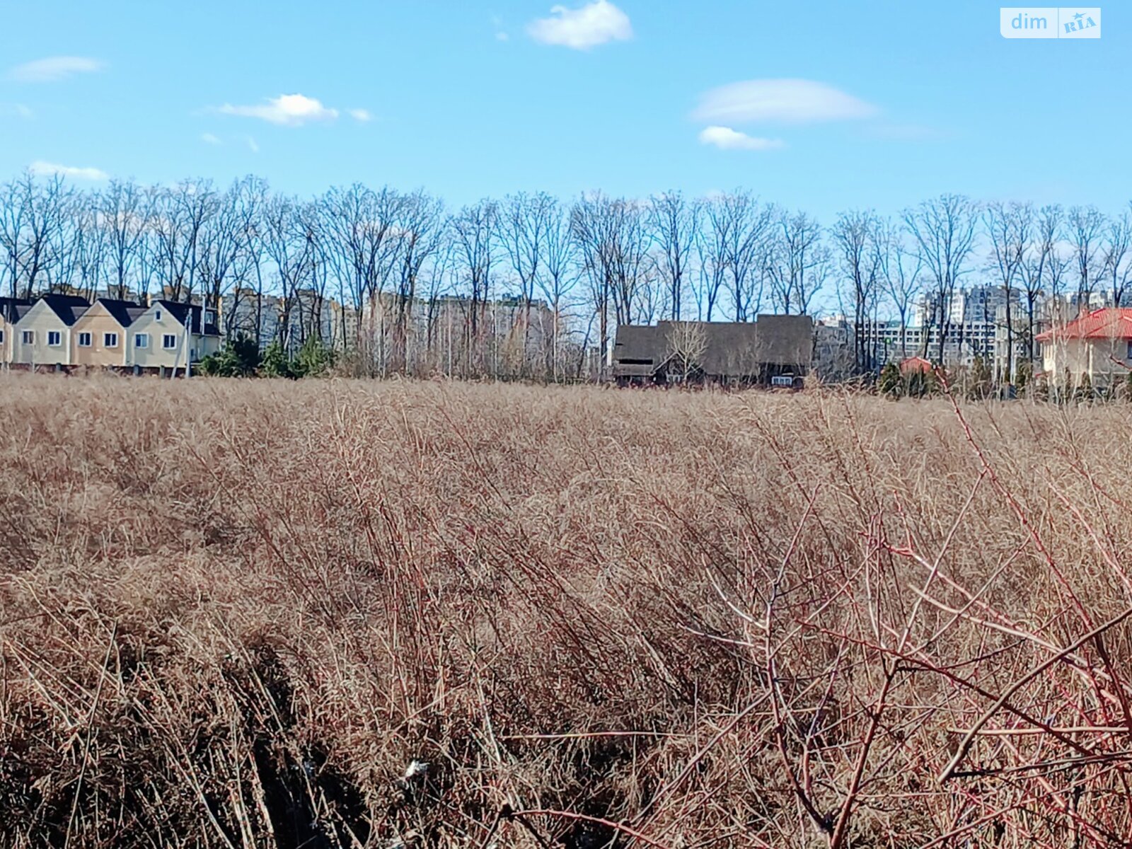 Земельный участок сельскохозяйственного назначения в Крюковщине, площадь 182 сотки фото 1 Земельный участок сельскохозяйственного назначения в Крюковщине, площадь 182 сотки фото 1