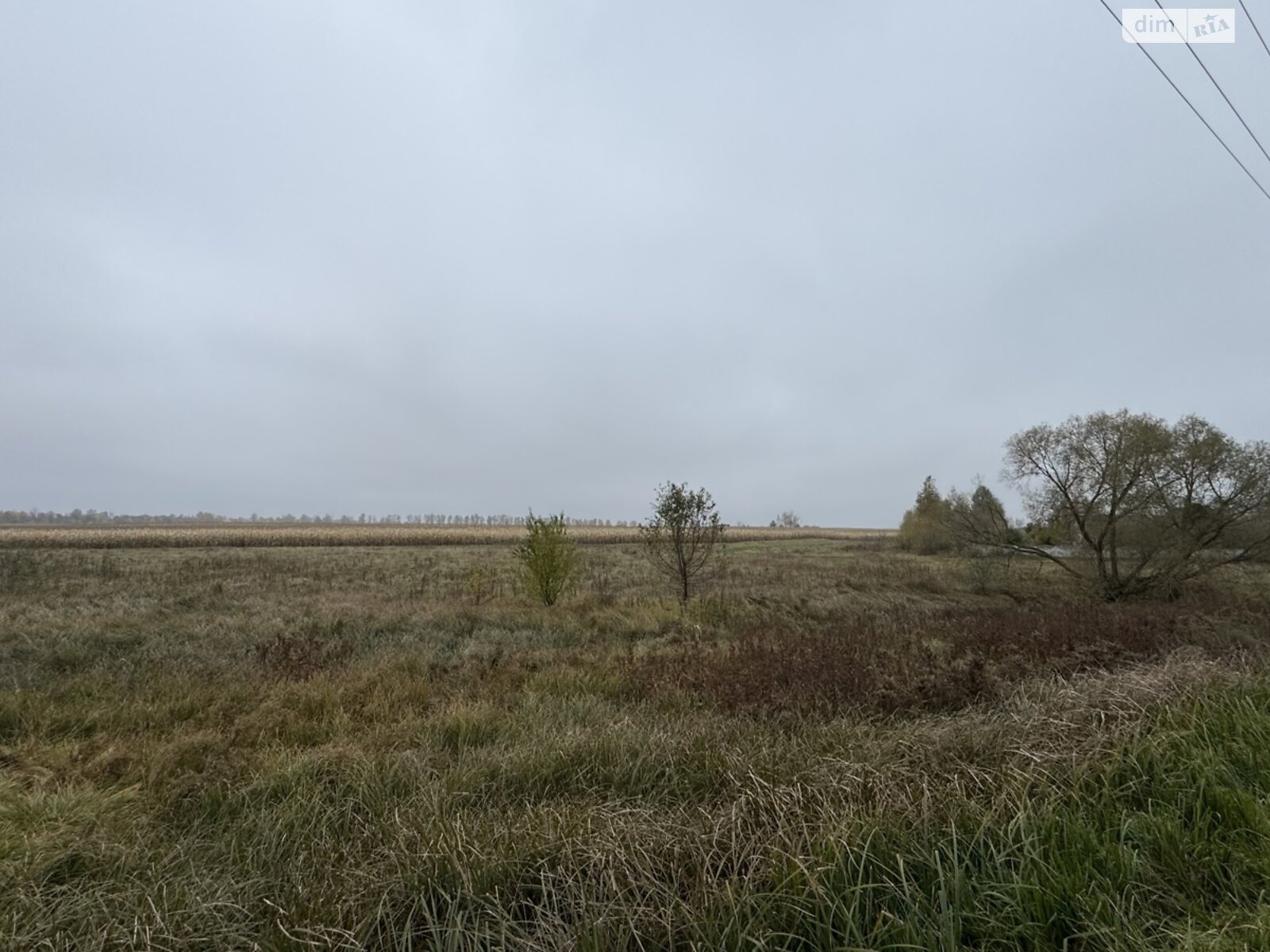 Земельна ділянка сільськогосподарського призначення в Ксаверівці, площа 5.4 Га фото 1 Земельна ділянка сільськогосподарського призначення в Ксаверівці, площа 5.4 Га фото 1