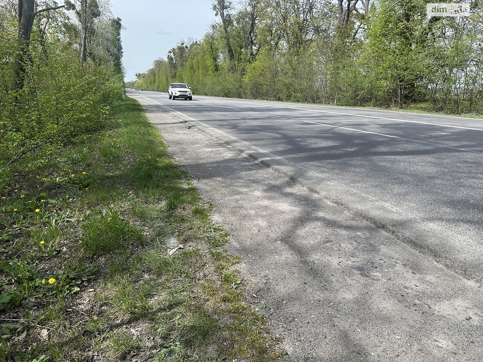 Земельна ділянка сільськогосподарського призначення в Ксаверівці, площа 74 сотки фото 1