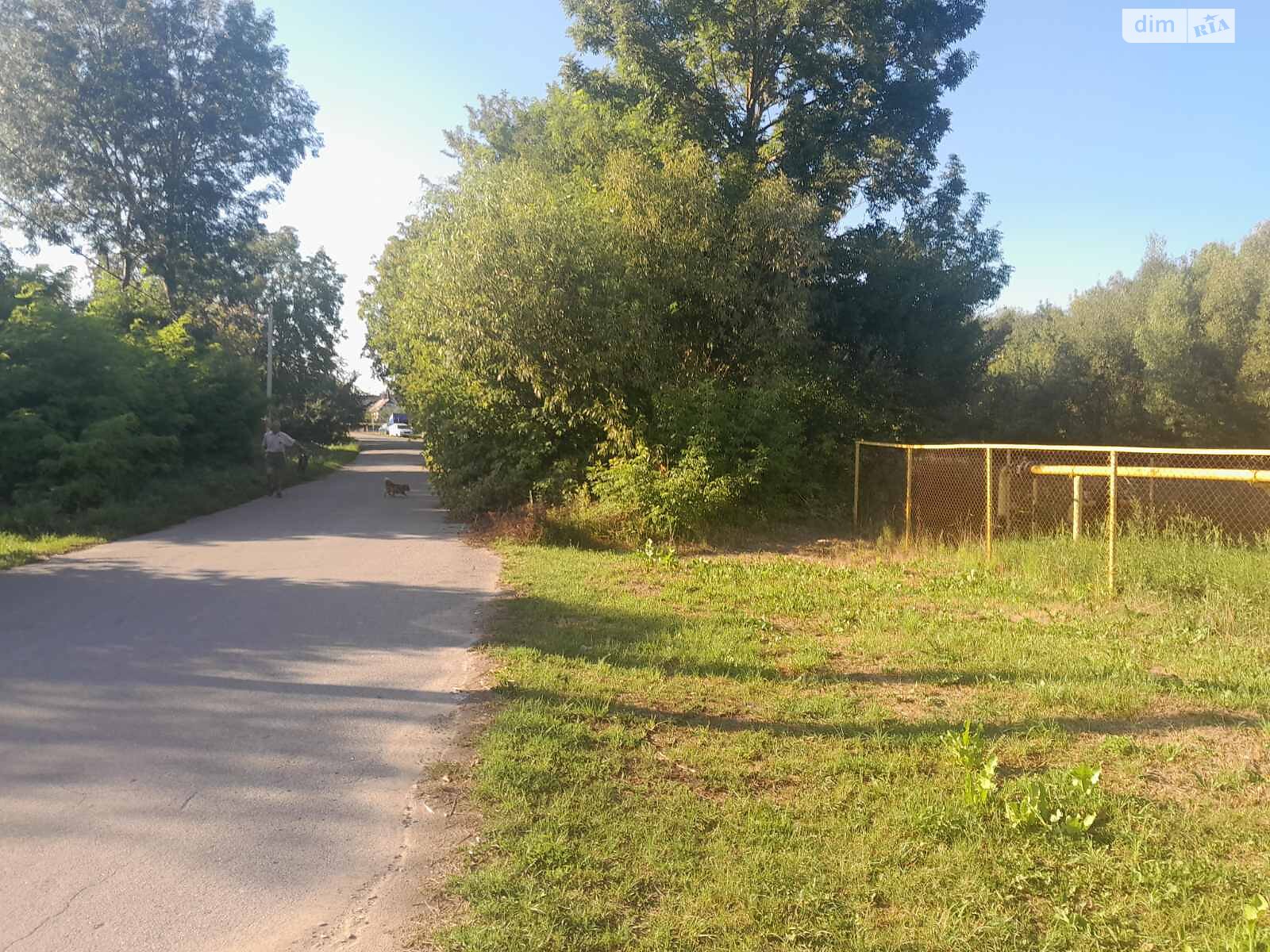 Земельна ділянка сільськогосподарського призначення в Ксаверівці, площа 7 соток фото 1 Земельна ділянка сільськогосподарського призначення в Ксаверівці, площа 7 соток фото 1