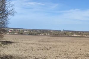 Земельна ділянка сільськогосподарського призначення в Ксаверівці, площа 1.8197 Га фото 2