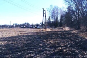 Земельна ділянка сільськогосподарського призначення в Ксаверівці, площа 3.6 Га фото 2