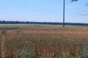 Земельный участок сельскохозяйственного назначения в Ксаверовке, площадь 1.419 Га фото 2 Земельный участок сельскохозяйственного назначения в Ксаверовке, площадь 1.419 Га фото 2