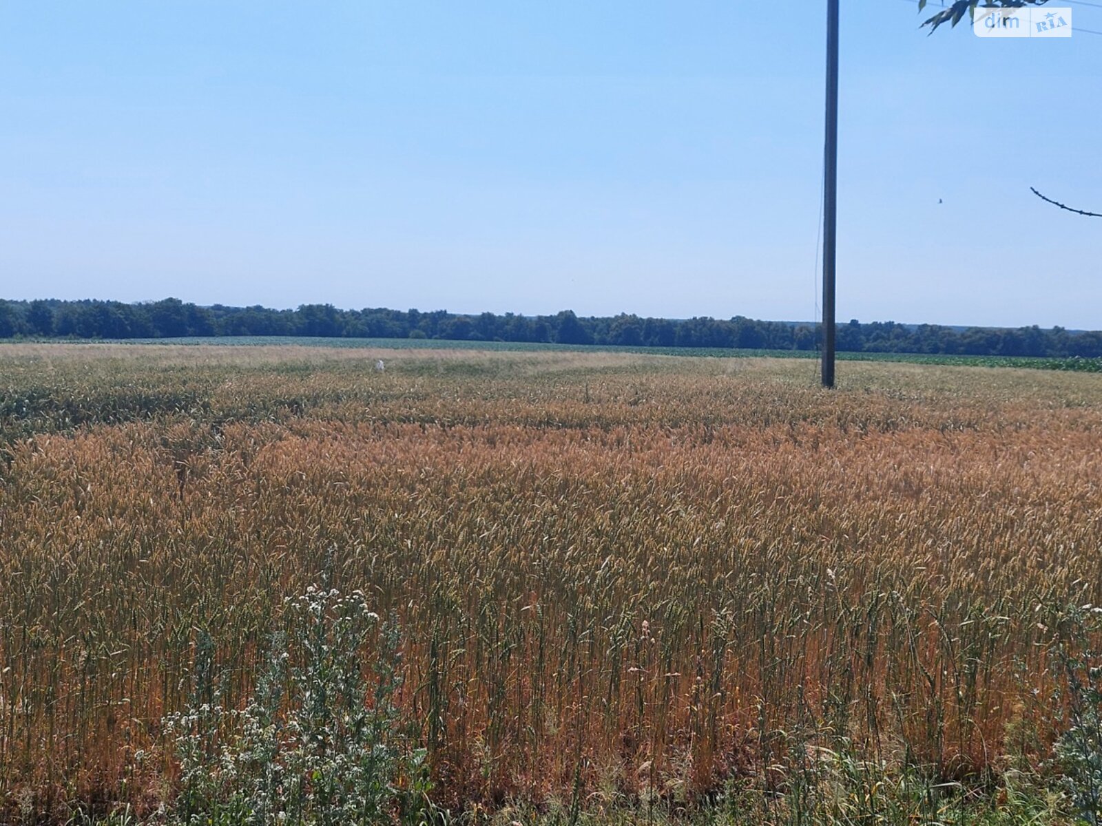 Земельный участок сельскохозяйственного назначения в Ксаверовке, площадь 1.419 Га фото 1 Земельный участок сельскохозяйственного назначения в Ксаверовке, площадь 1.419 Га фото 1