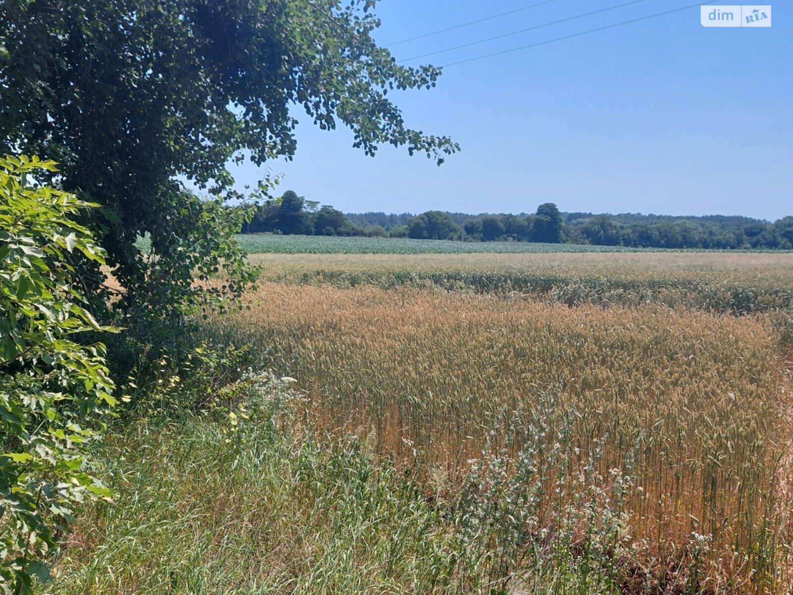 Земельный участок сельскохозяйственного назначения в Ксаверовке, площадь 1.419 Га фото 1 Земельный участок сельскохозяйственного назначения в Ксаверовке, площадь 1.419 Га фото 1