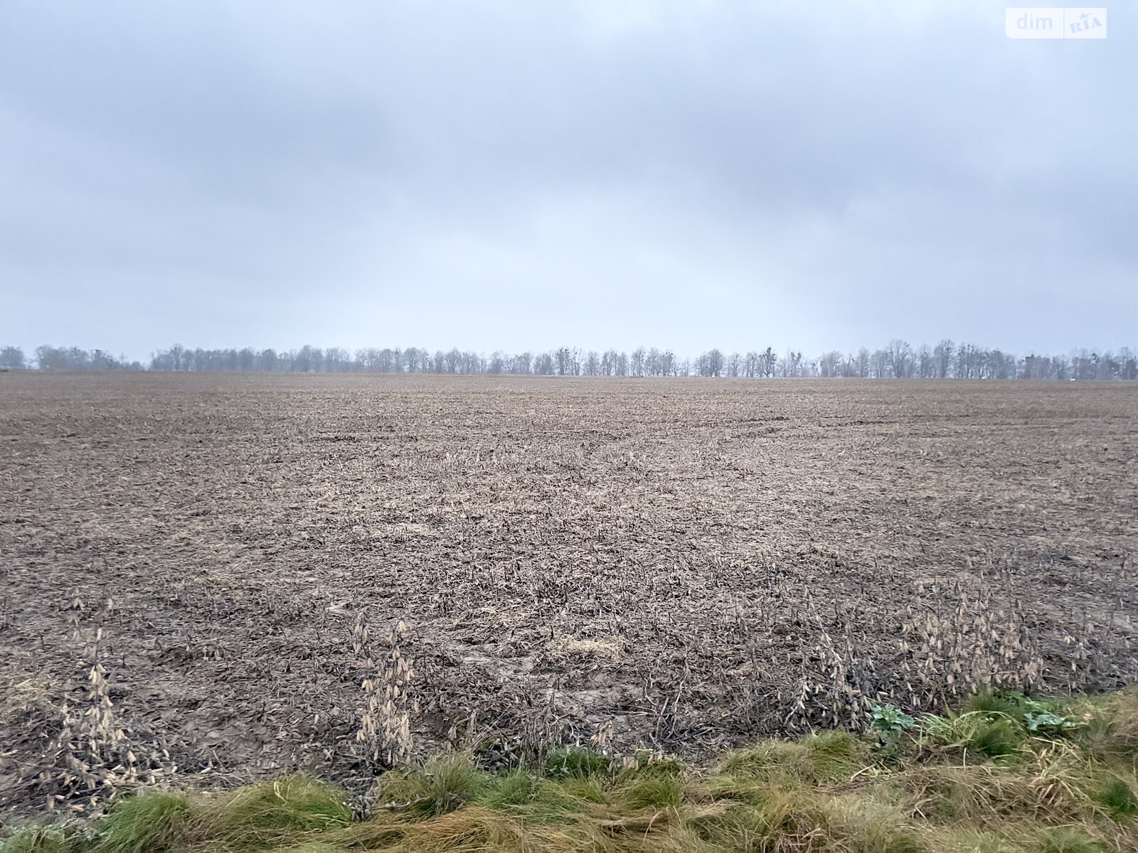Земельный участок сельскохозяйственного назначения в Кудлаях, площадь 2 Га фото 1