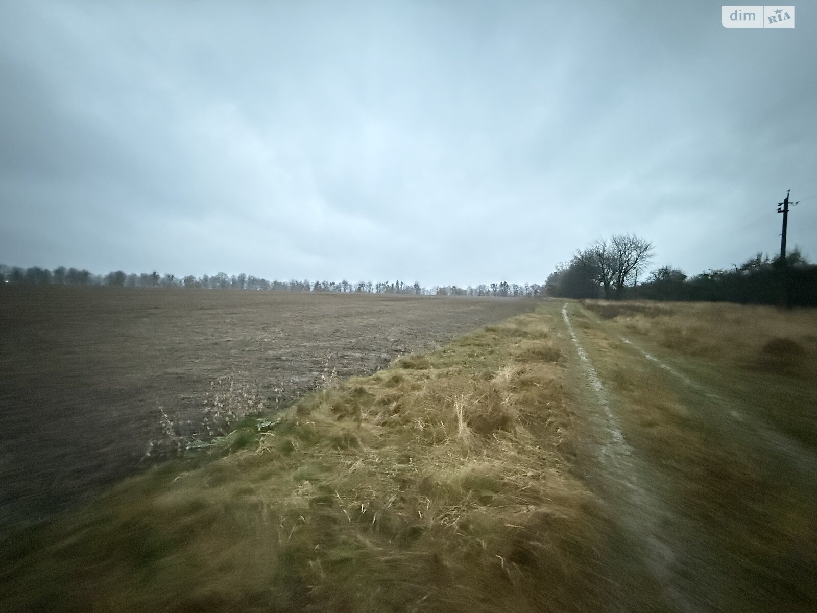 Земельный участок сельскохозяйственного назначения в Кудлаях, площадь 2 Га фото 1