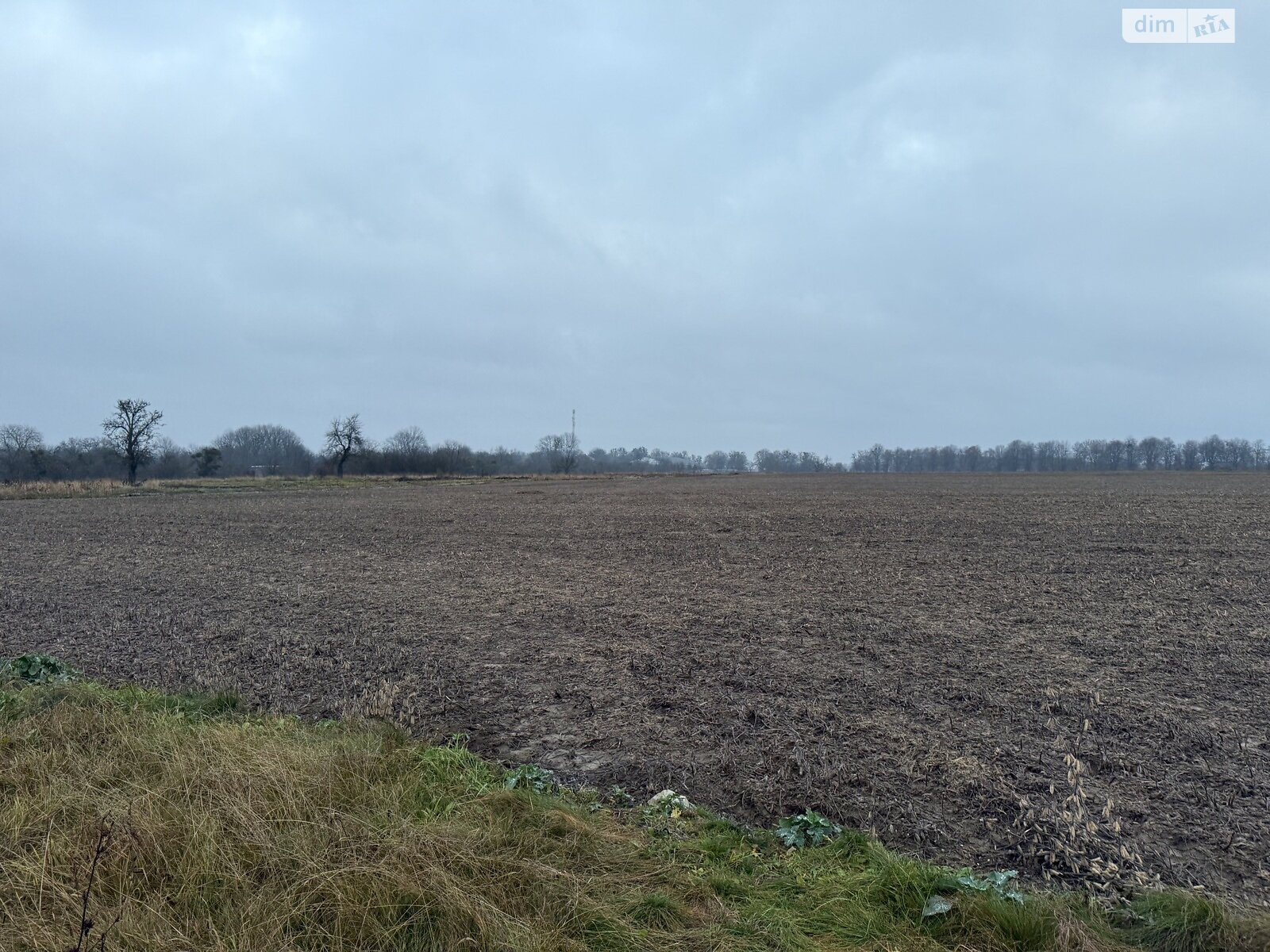 Земельный участок сельскохозяйственного назначения в Кудлаях, площадь 2 Га фото 1