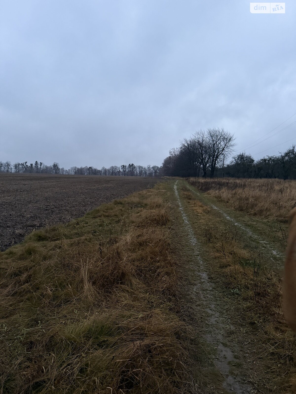 Земельный участок сельскохозяйственного назначения в Кудлаях, площадь 2 Га фото 1