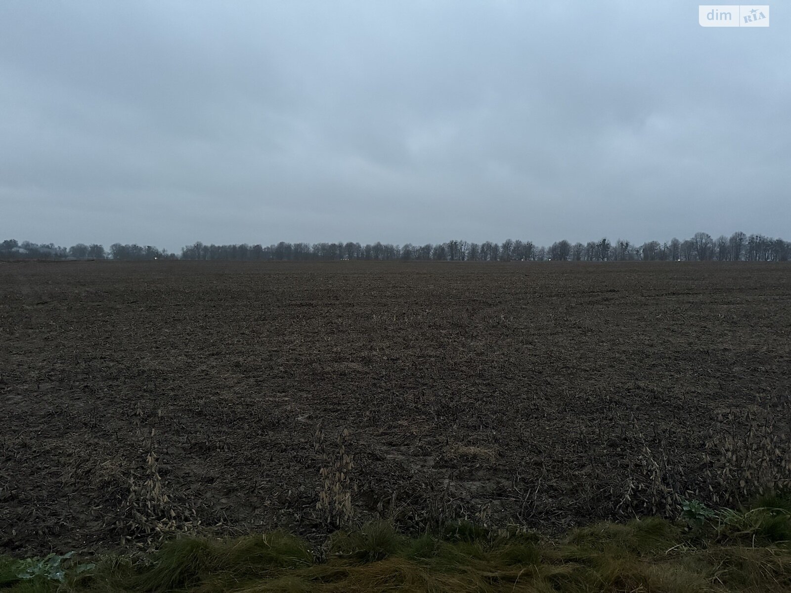 Земельный участок сельскохозяйственного назначения в Кудлаях, площадь 2 Га фото 1