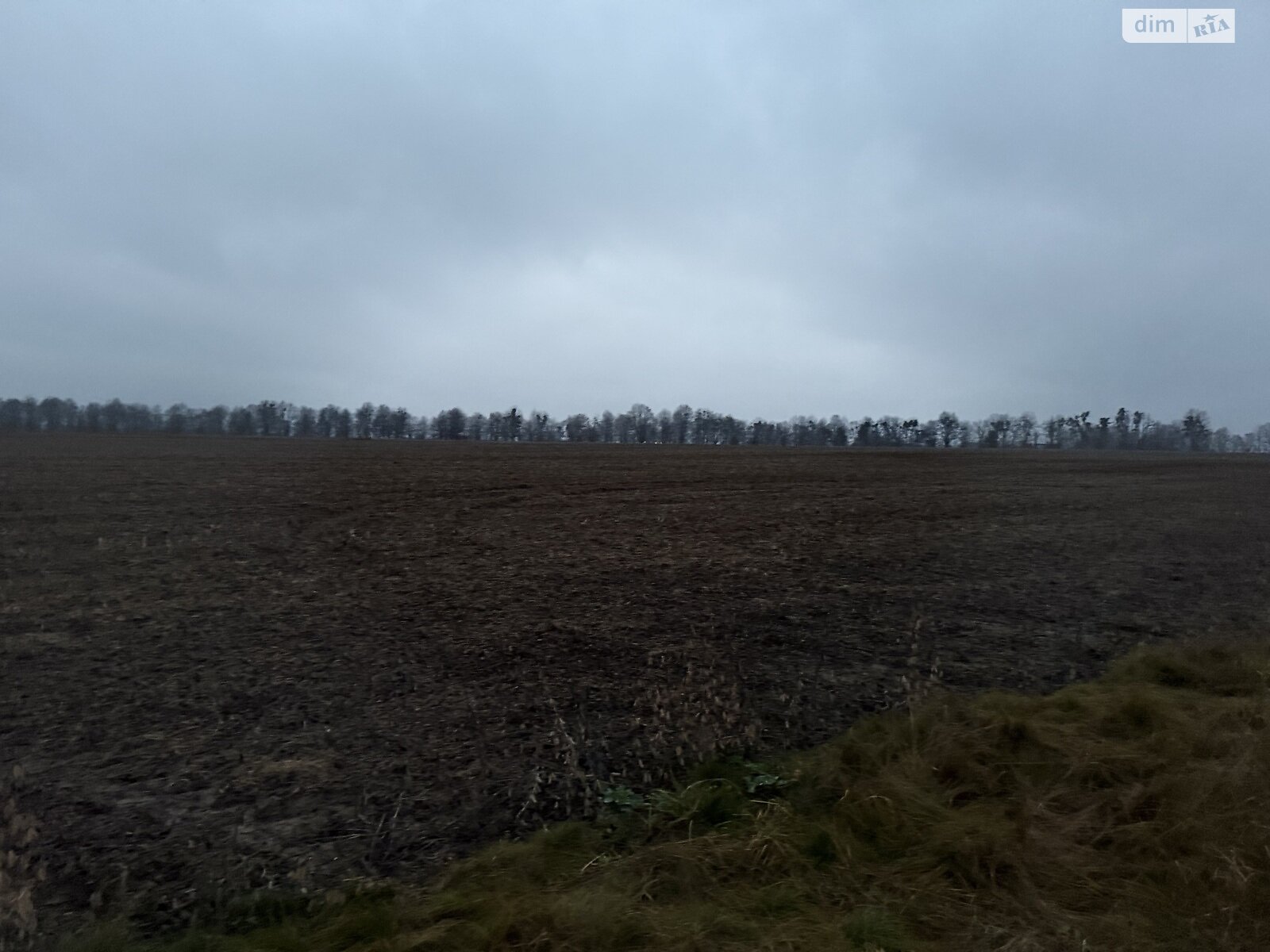 Земельный участок сельскохозяйственного назначения в Кудлаях, площадь 2 Га фото 1