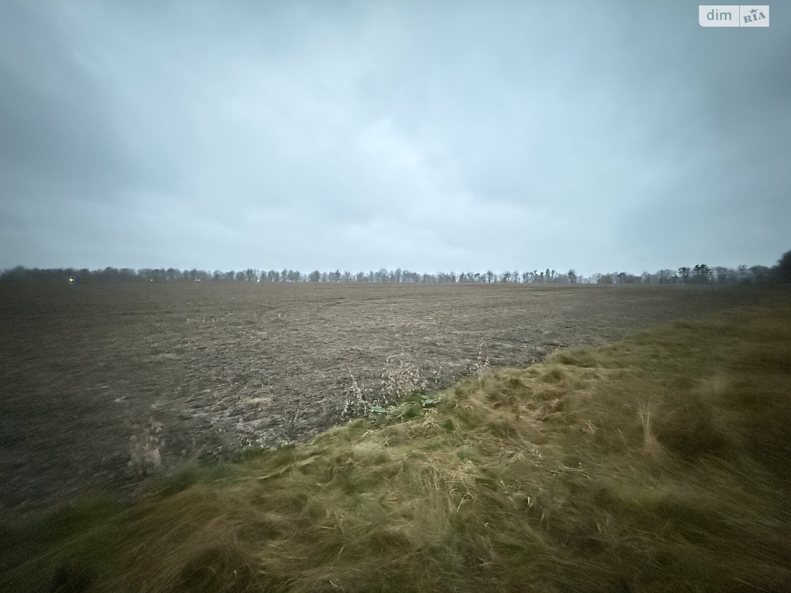 Земельный участок сельскохозяйственного назначения в Кудлаях, площадь 2 Га фото 1