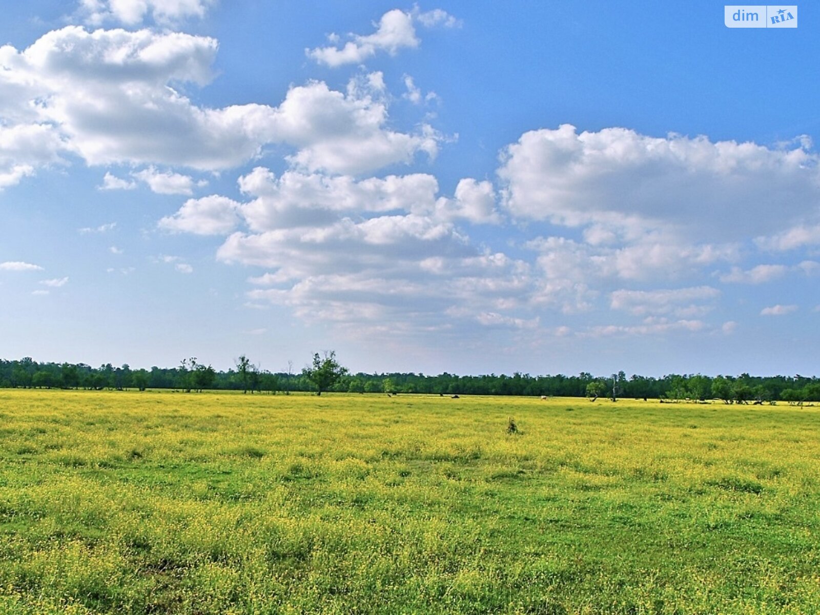 Земельна ділянка сільськогосподарського призначення в Кудринцях, площа 0.1 Га фото 1 Земельна ділянка сільськогосподарського призначення в Кудринцях, площа 0.1 Га фото 1