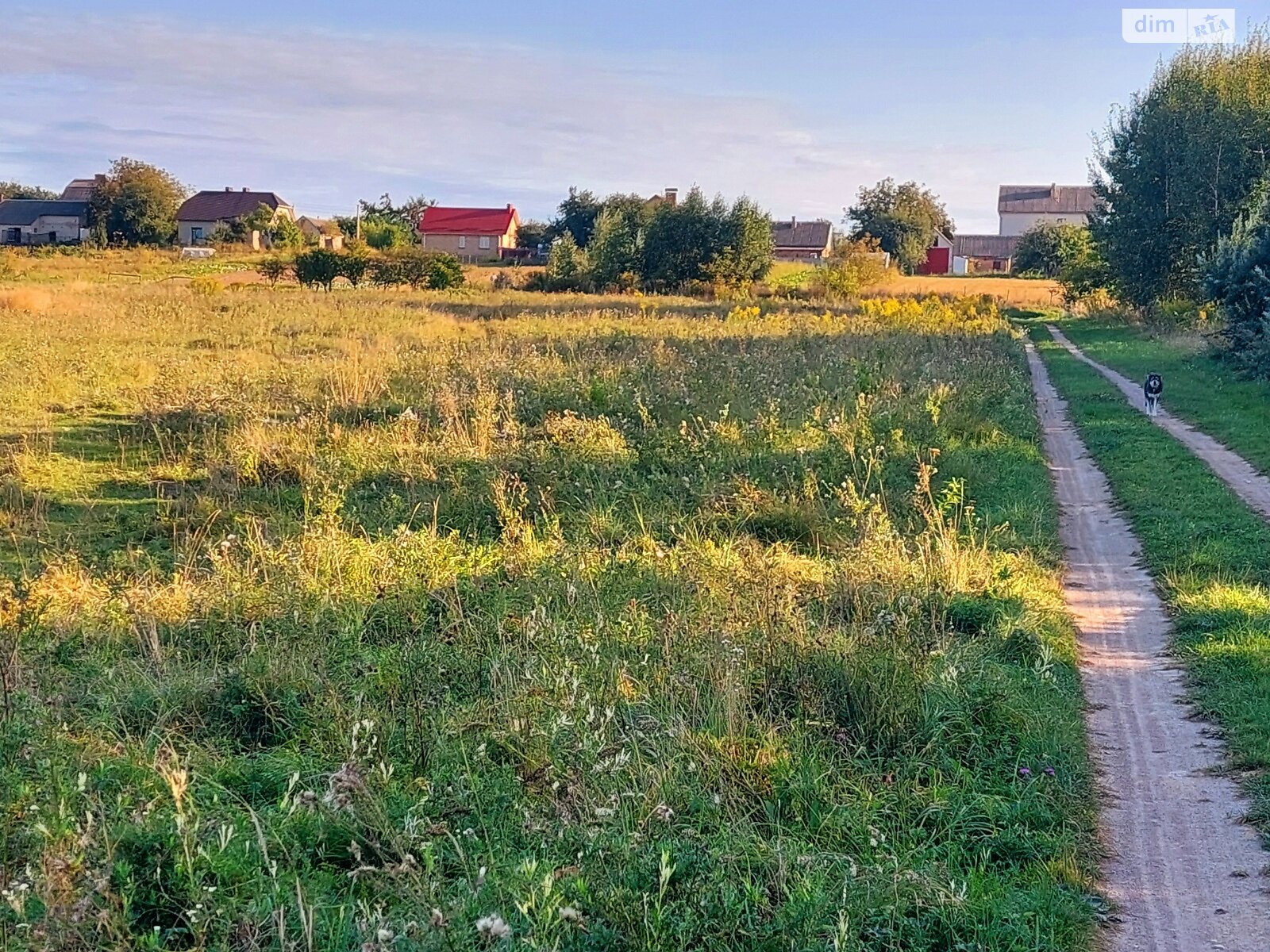 Земельна ділянка сільськогосподарського призначення в Кустині, площа 10 соток фото 1