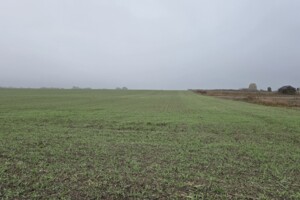 Земельный участок сельскохозяйственного назначения в Лавровке, площадь 70 соток фото 2