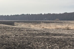 Земельный участок сельскохозяйственного назначения в Лавровке, площадь 68 соток фото 2