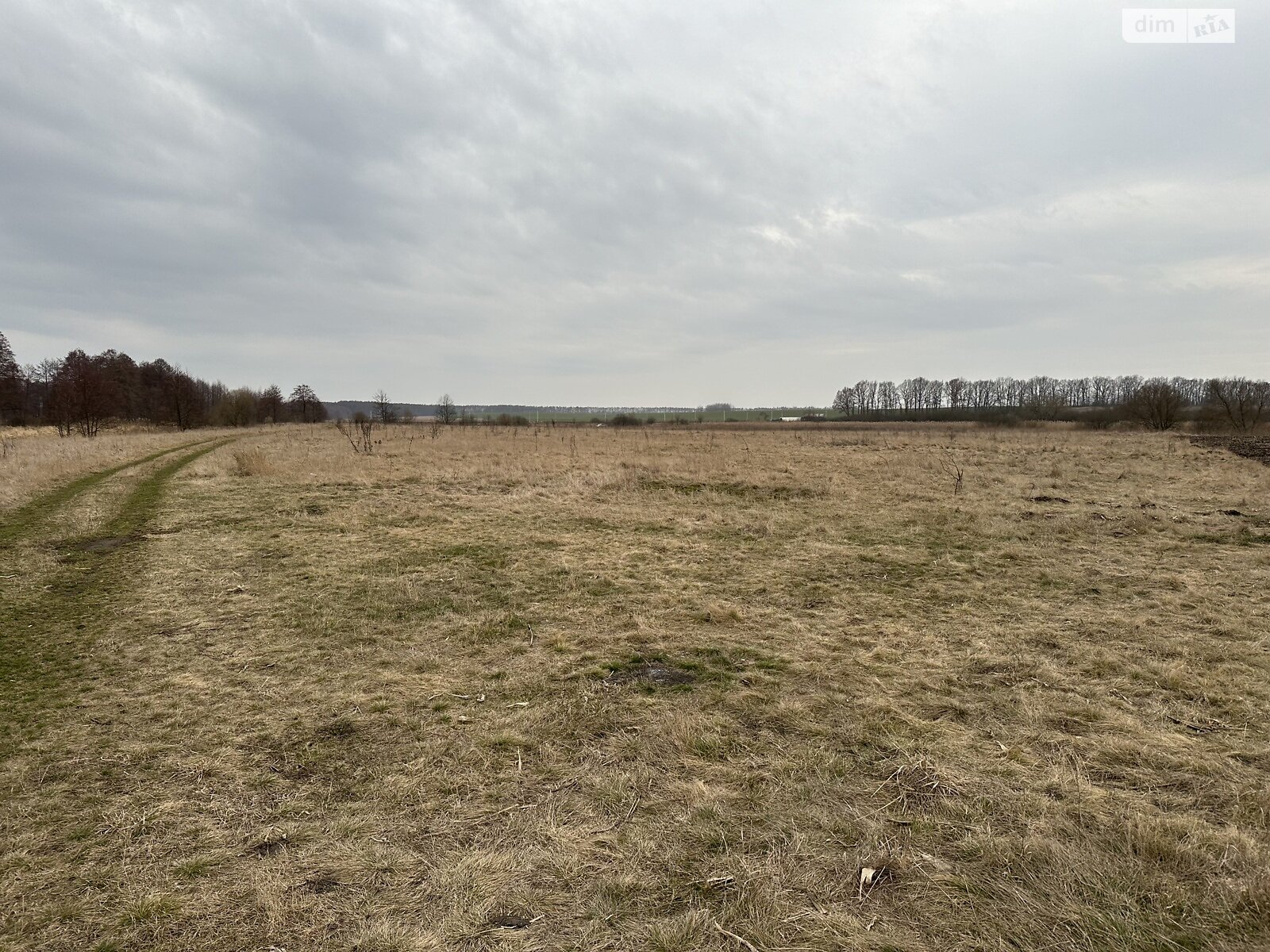 Земельный участок сельскохозяйственного назначения в Лавровке, площадь 68 соток фото 1