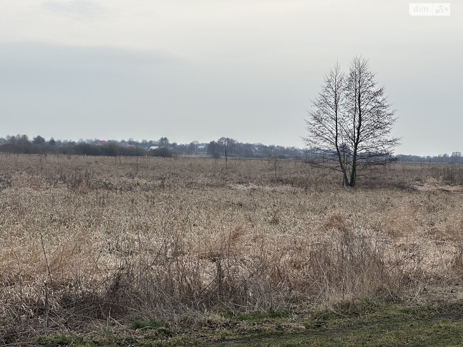 Земельный участок сельскохозяйственного назначения в Лавровке, площадь 68 соток фото 1