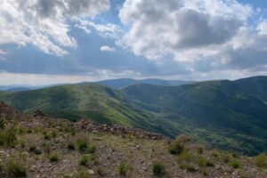 Земельна ділянка сільськогосподарського призначення в Лазещині, площа 1200 соток фото 2