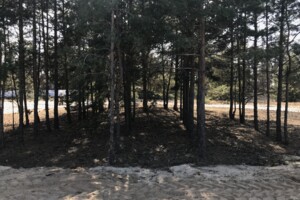 Земельна ділянка сільськогосподарського призначення в Лебедівці, площа 16 соток фото 2
