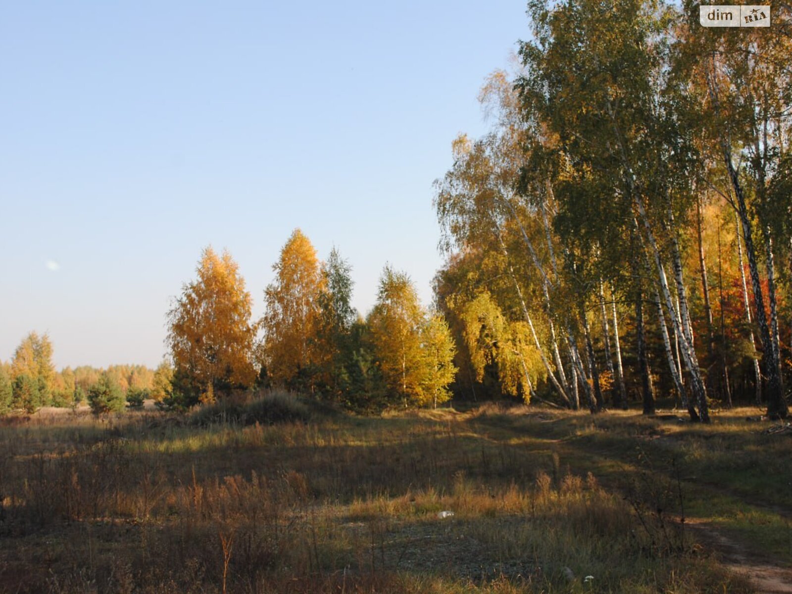 Земельна ділянка сільськогосподарського призначення в Лебедівці, площа 15 соток фото 1 Земельна ділянка сільськогосподарського призначення в Лебедівці, площа 15 соток фото 1