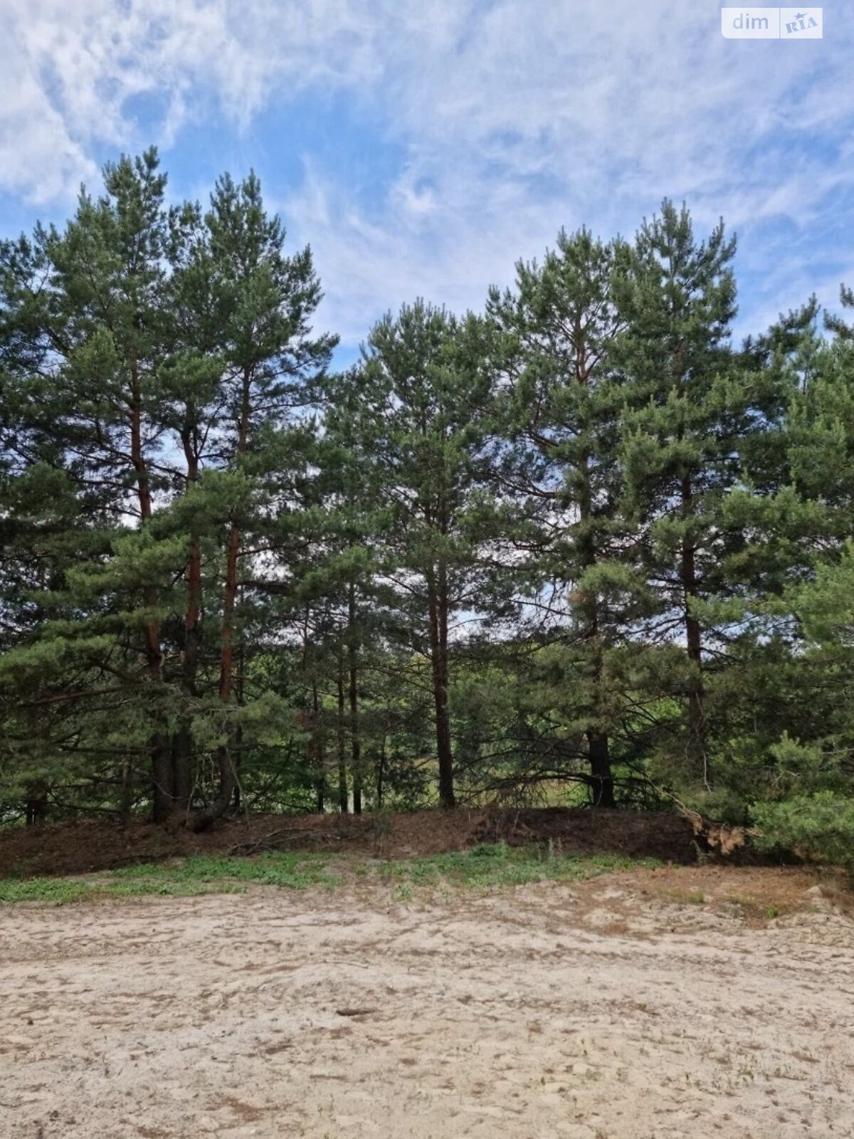 Земельный участок сельскохозяйственного назначения в Лебедевке, площадь 67.56 сотки фото 1