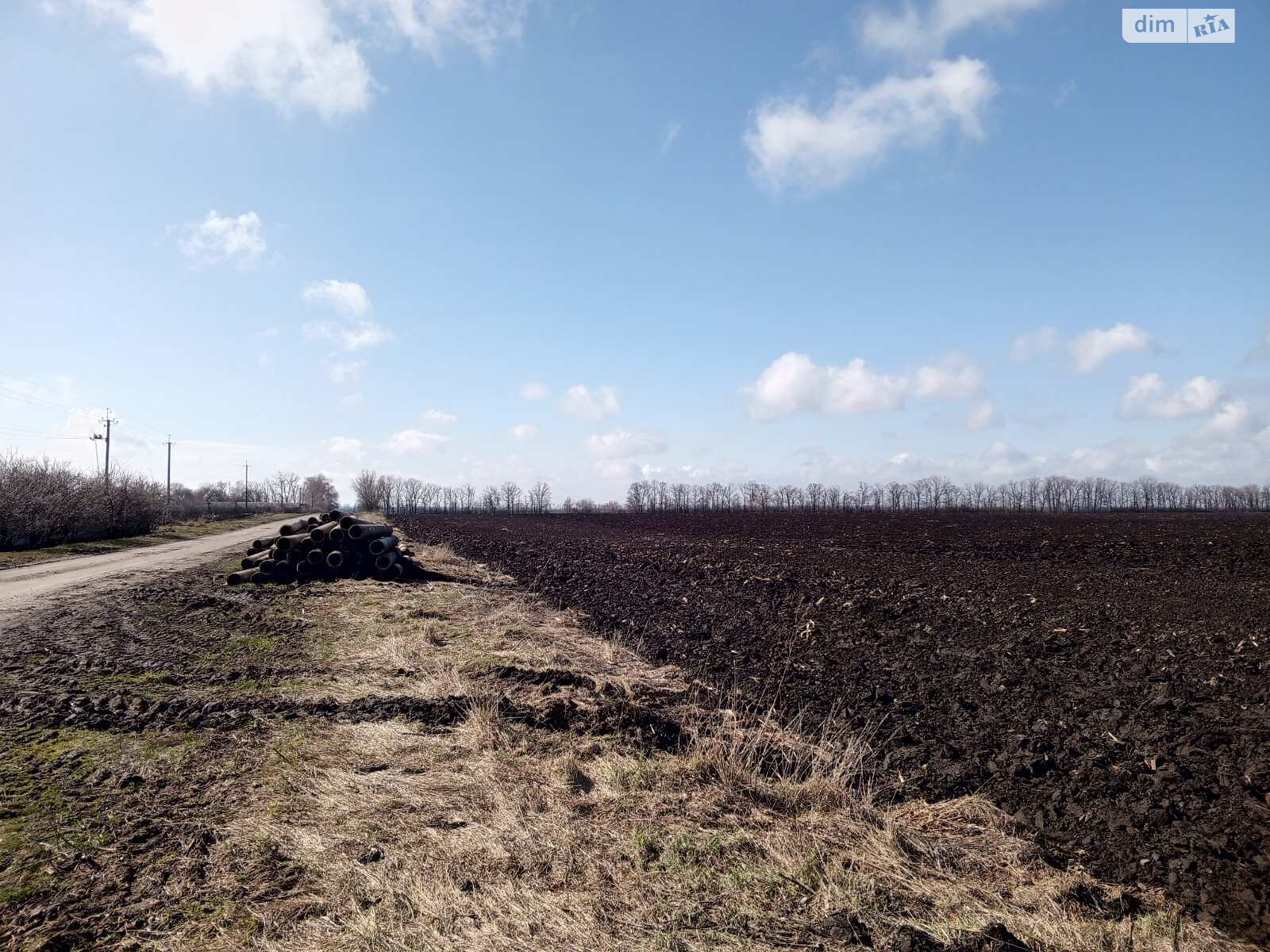 Земельна ділянка сільськогосподарського призначення в Леськах, площа 238 соток фото 1