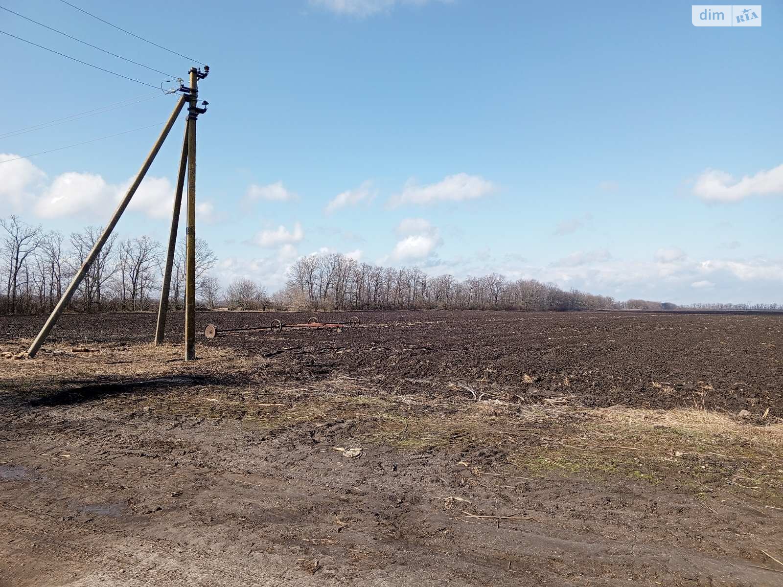 Земельна ділянка сільськогосподарського призначення в Леськах, площа 238 соток фото 1