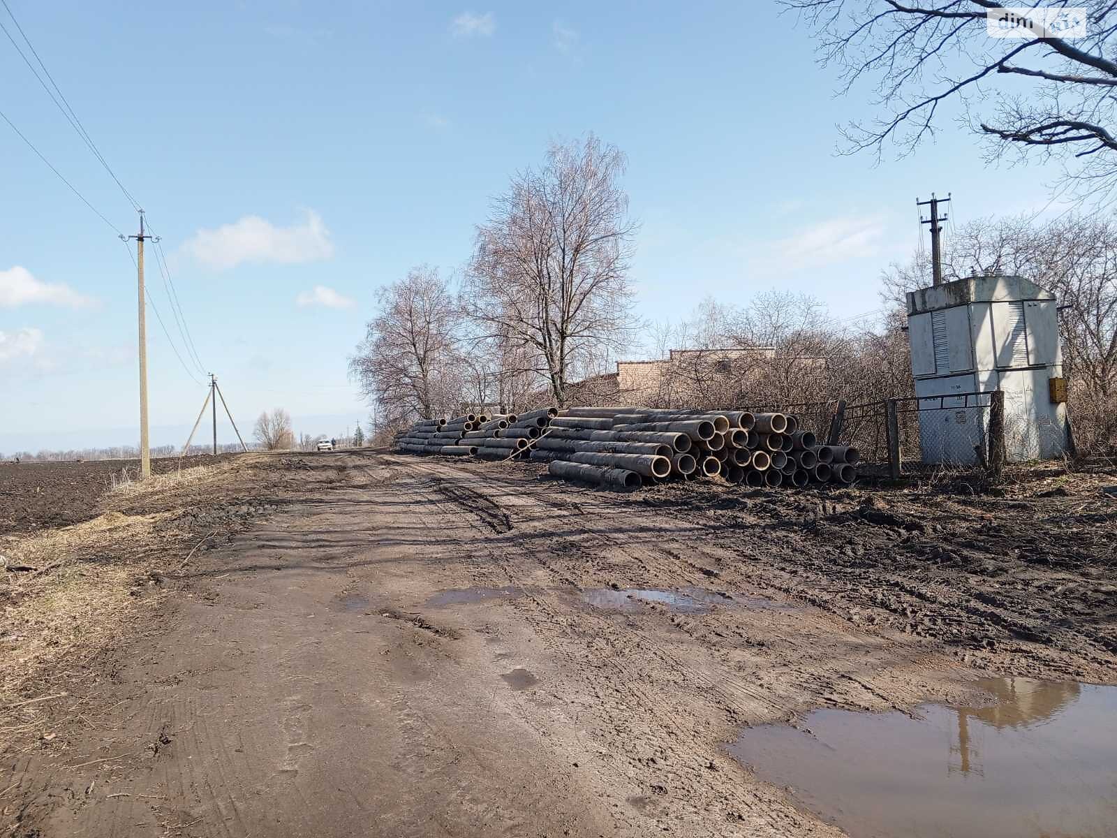 Земельна ділянка сільськогосподарського призначення в Леськах, площа 238 соток фото 1