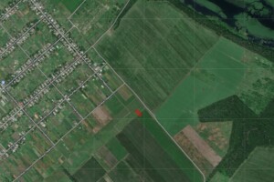 Земельный участок сельскохозяйственного назначения в Леськах, площадь 24 сотки фото 2