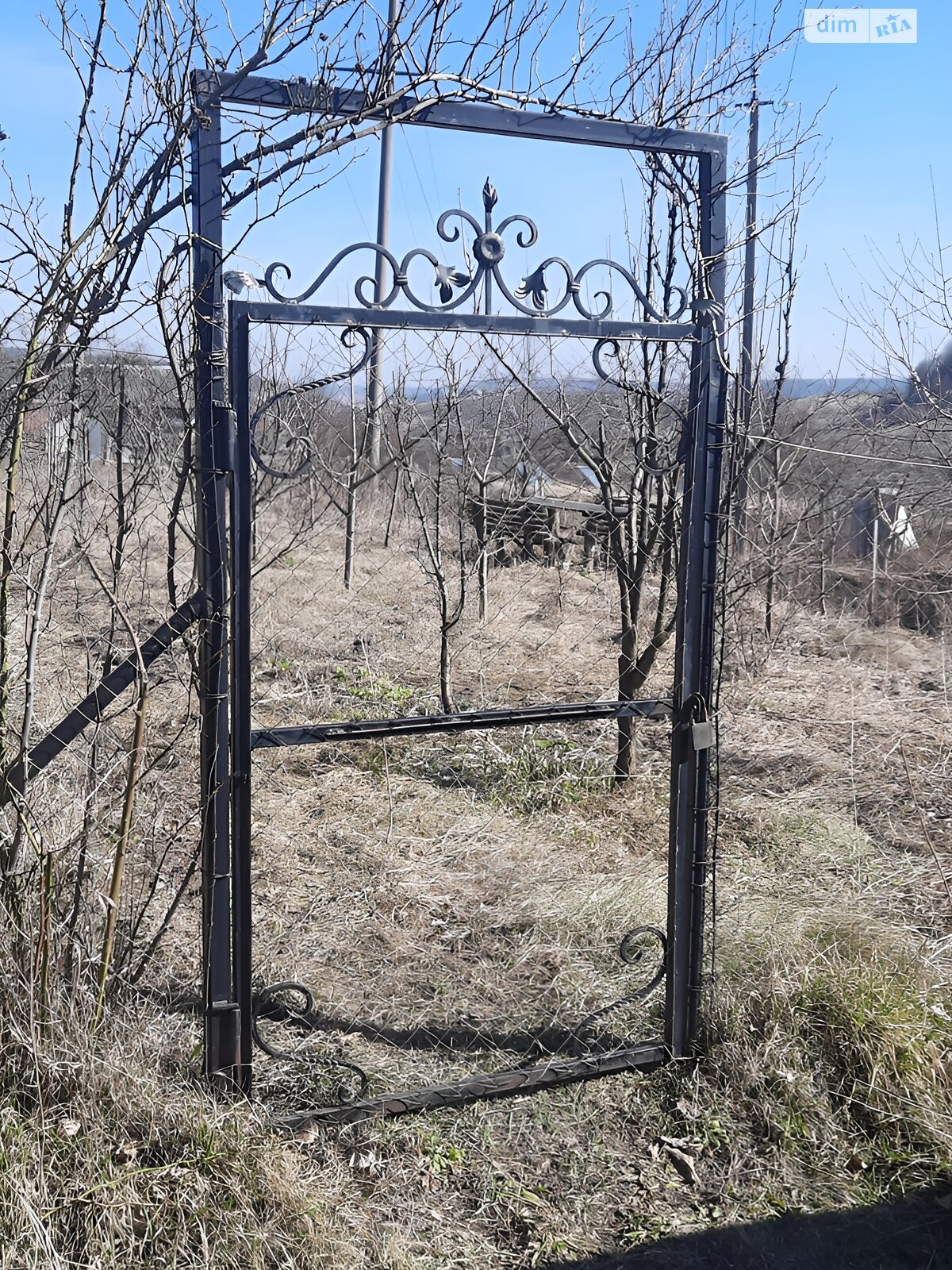 Земельна ділянка сільськогосподарського призначення в Лісниках, площа 6 соток фото 1