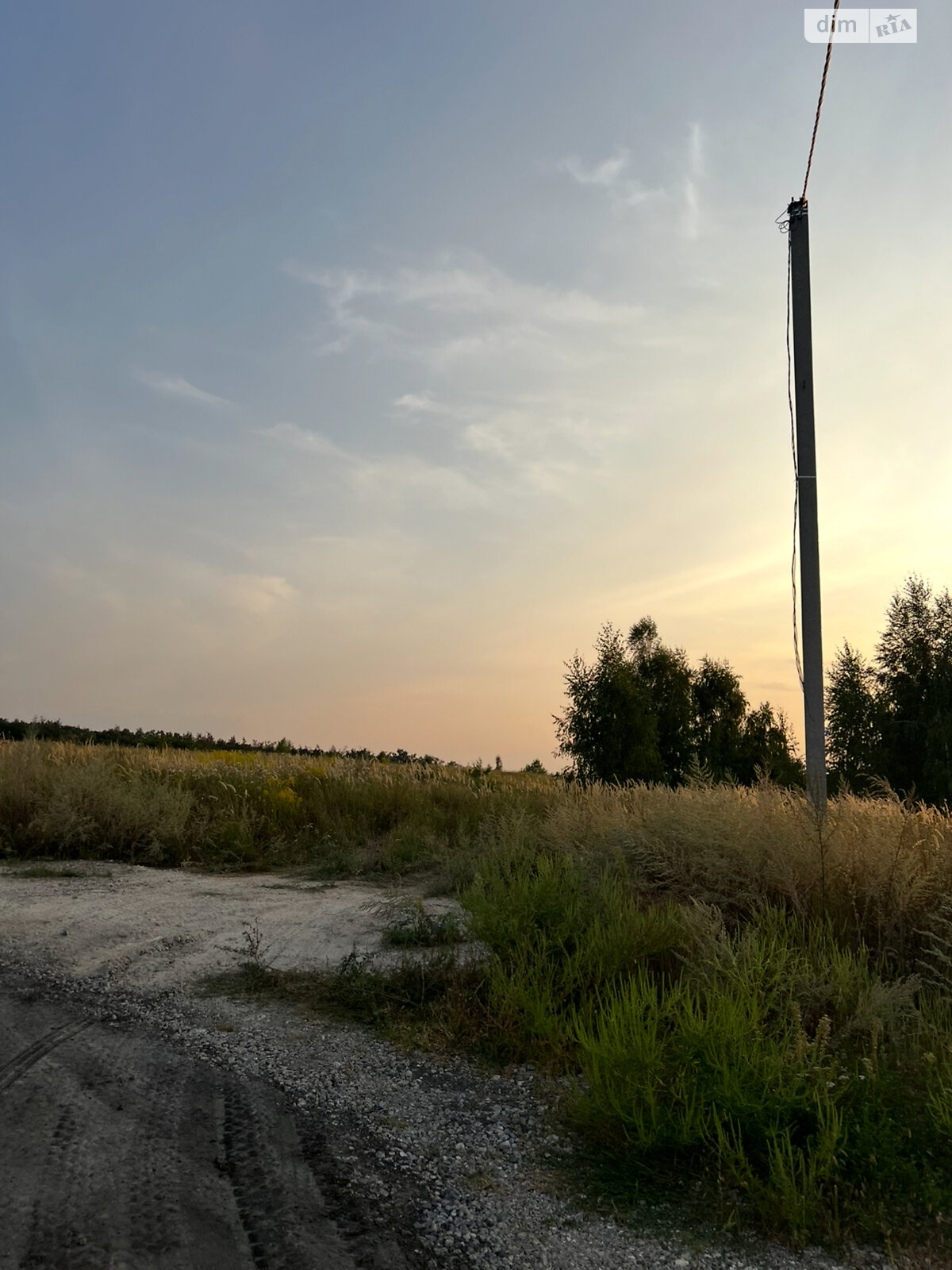 Земельный участок сельскохозяйственного назначения в Лесниках, площадь 10 соток фото 1 Земельный участок сельскохозяйственного назначения в Лесниках, площадь 10 соток фото 1