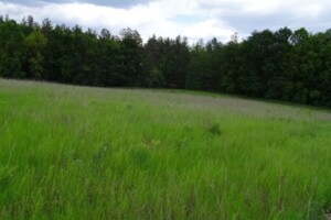 Земельна ділянка сільськогосподарського призначення в Лісне, площа 20 соток фото 2