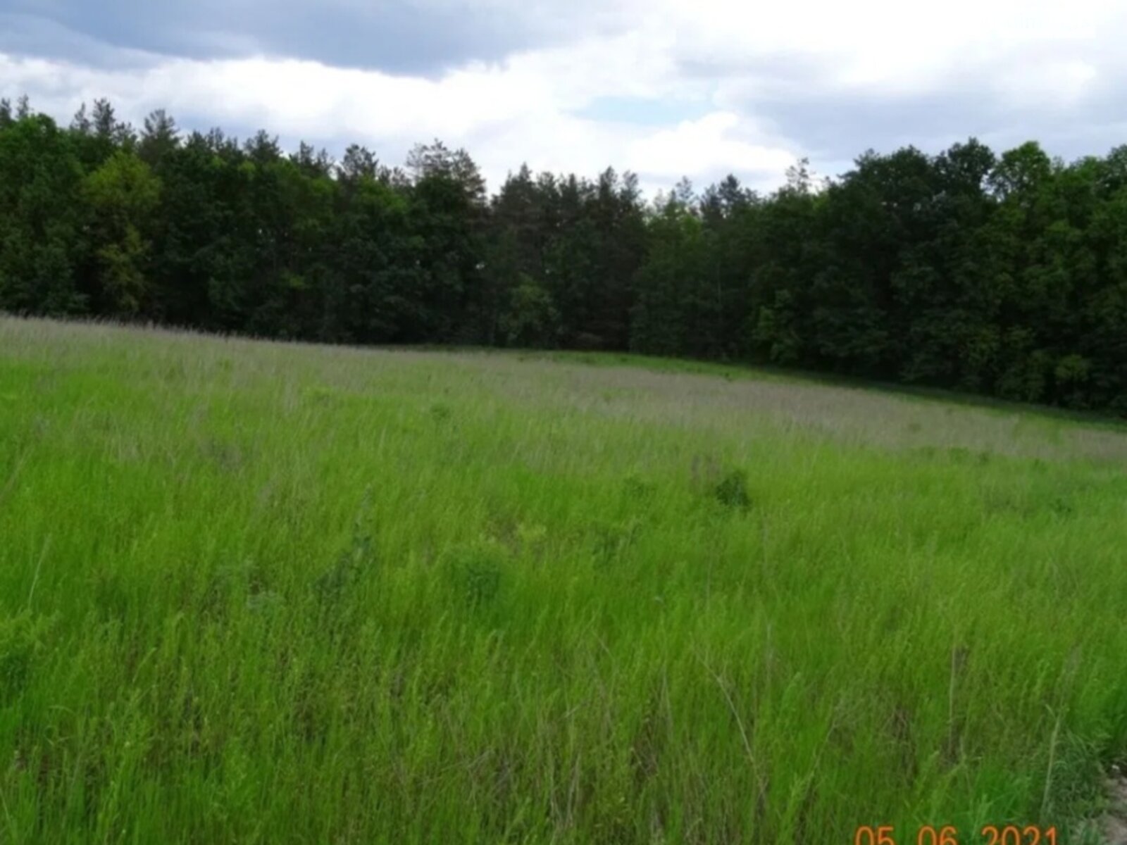 Земельна ділянка сільськогосподарського призначення в Лісне, площа 20 соток фото 1