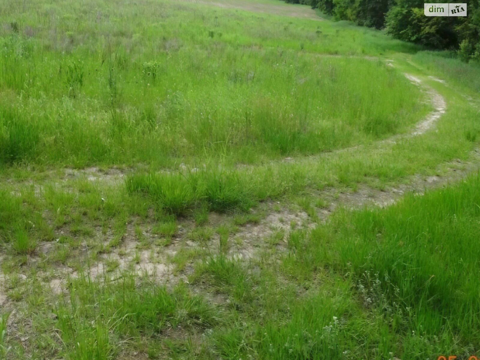 Земельна ділянка сільськогосподарського призначення в Лісне, площа 20 соток фото 1