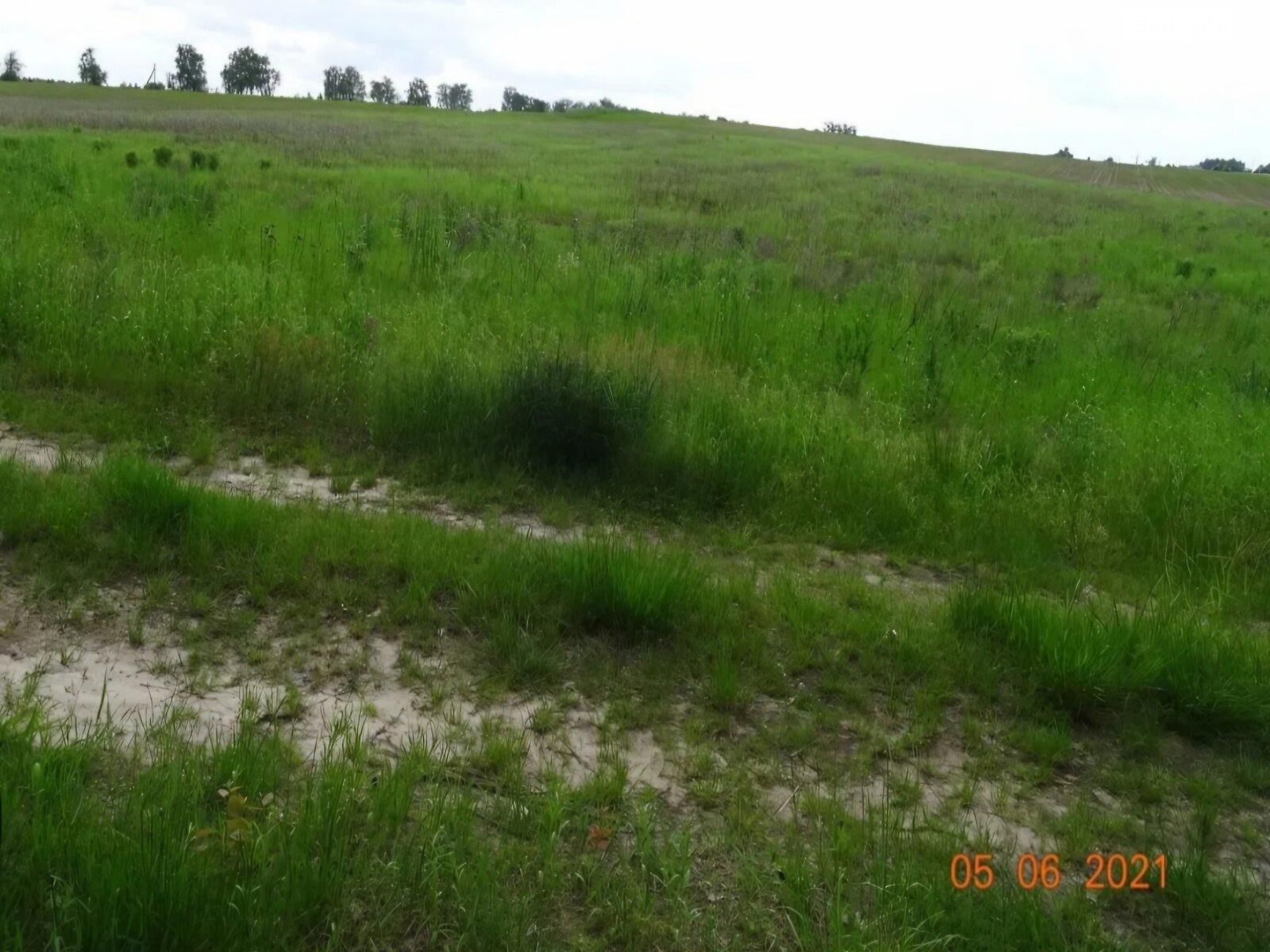 Земельна ділянка сільськогосподарського призначення в Лісне, площа 20 соток фото 1