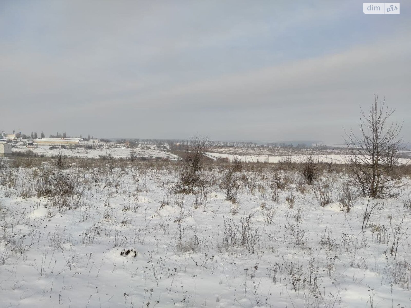 Земельный участок сельскохозяйственного назначения в Лесовых Гриновцах, площадь 10 соток фото 1